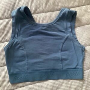 OfflineAerie Blue Sports Bra